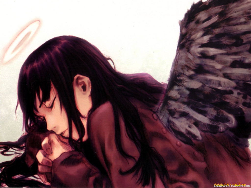 , haibane, renmei